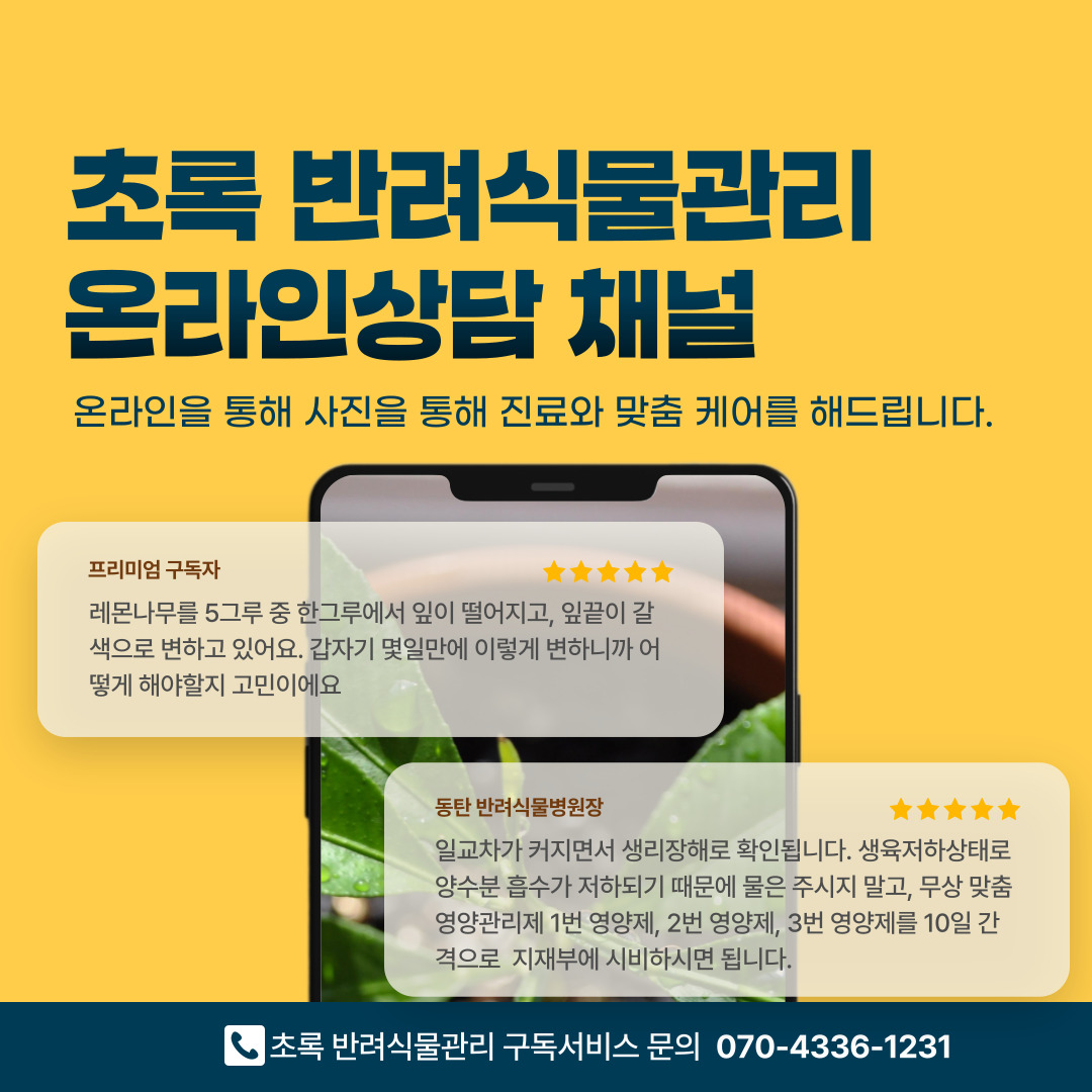 반려식물병원창업_06
